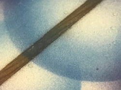 �I�[�o�[�z�[�� �p�x�� 20_17